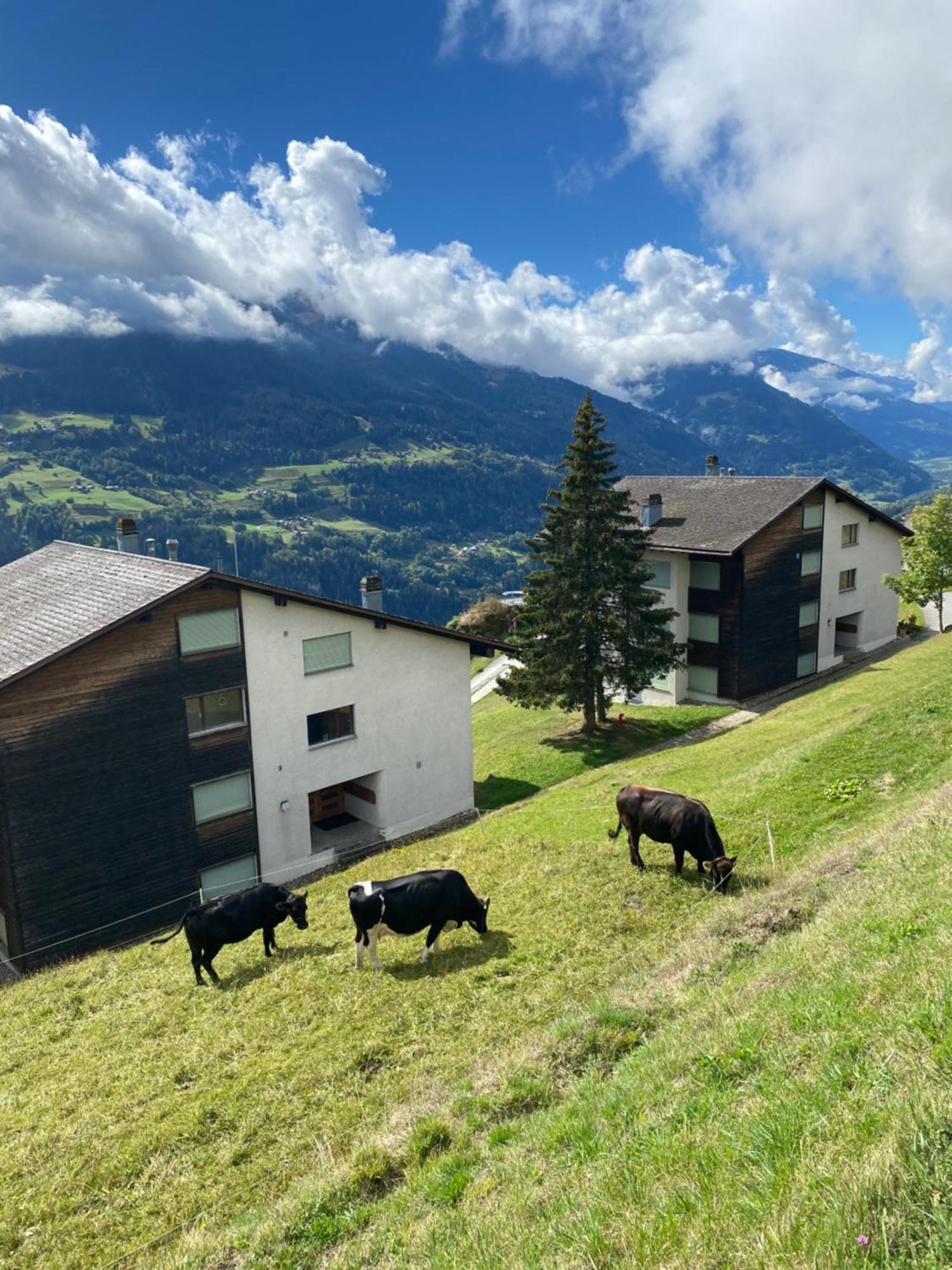 Apartamento Hoch über Dem Rheintal *